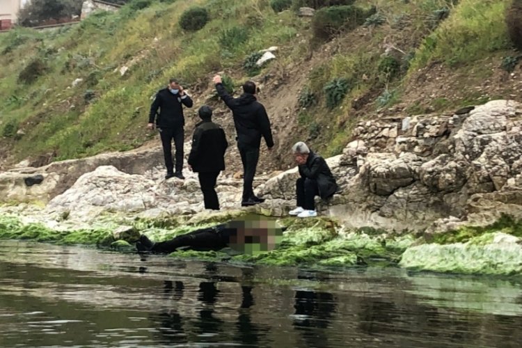 Bursa'da kendini kayalıklardan denize atarak intihar etti