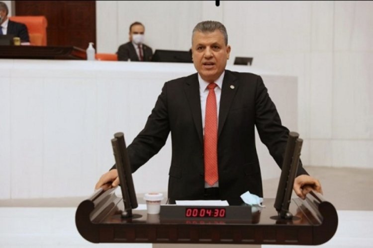 CHP'li Ayhan Barut'tan&nbsp;Anadolu leoparı i&ccedil;in uyarı&nbsp;