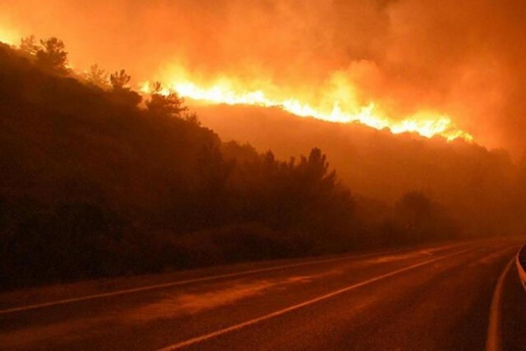 İzmir'deki orman yangını davasında Ekrem Yener'e 5 yıl hapis