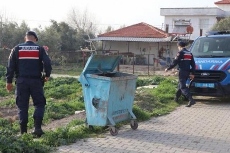 Denizli'de son 1 ayda 20 kedi ve k&ouml;pek &ouml;l&uuml; bulundu