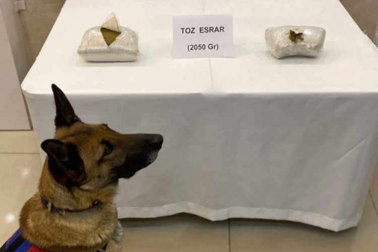 2 kilo toz esrar ele ge&ccedil;irildi