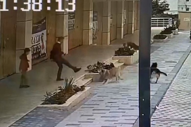K&ouml;pek saldırısına uğrayan &ccedil;ocuk o anları anlattı