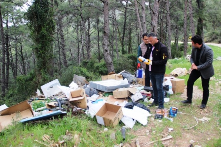 Cennet koyunu cehenneme &ccedil;evirdiler