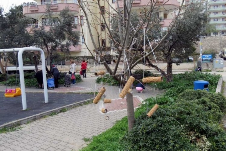 Bursa'da bir garip yem deposu