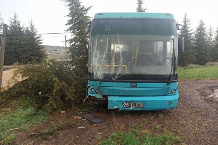 Kontrolden &ccedil;ıkan halk otob&uuml;s&uuml; ağa&ccedil;lara &ccedil;arptı: 3'&uuml; &ccedil;ocuk 4 yaralı