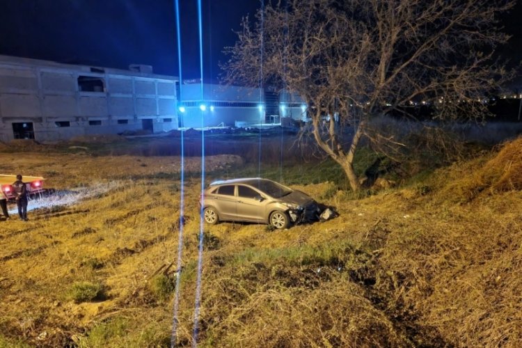 Bursa'da k&ouml;peğe &ccedil;arpan ara&ccedil; şarampole u&ccedil;tu