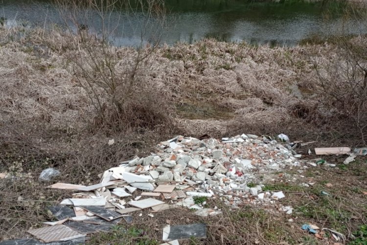 Bursa'da doğaya bırakılan moloza tepki