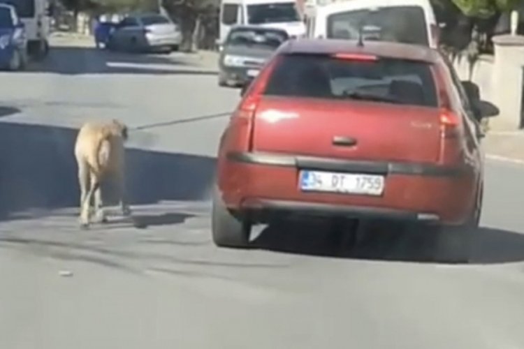 İstanbul'da s&uuml;r&uuml;c&uuml; iple bağlı k&ouml;peğini peşinden koşturdu