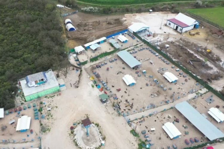 Bursa'da işini g&uuml;c&uuml;n&uuml; bıraktı hayatını can dostlara adadı