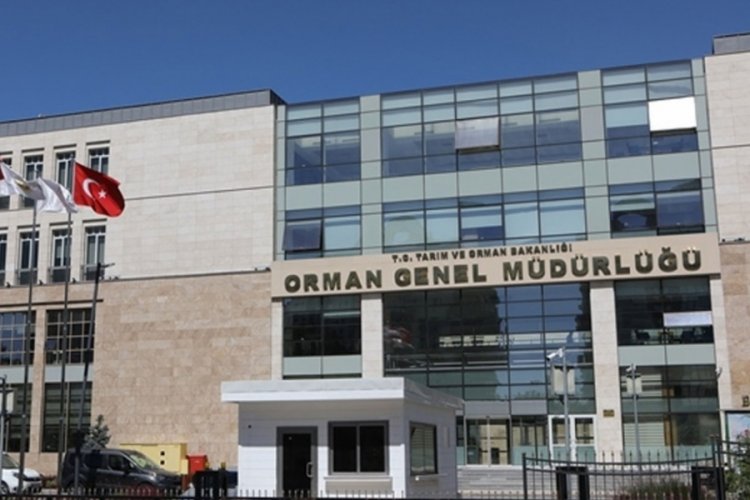 Orman Genel M&uuml;d&uuml;rl&uuml;ğ&uuml;'n&uuml;n birimlerinde değişiklik