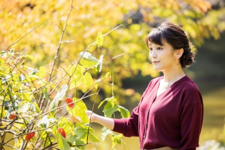 Eski Japon Prensesi Mako Komuro, m&uuml;zede &uuml;cretsiz &ccedil;alışıyor