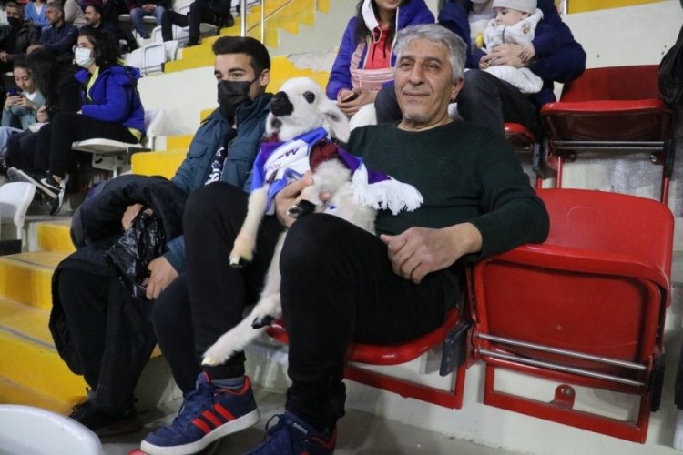 Kuzusuyla birlikte ma&ccedil; izledi