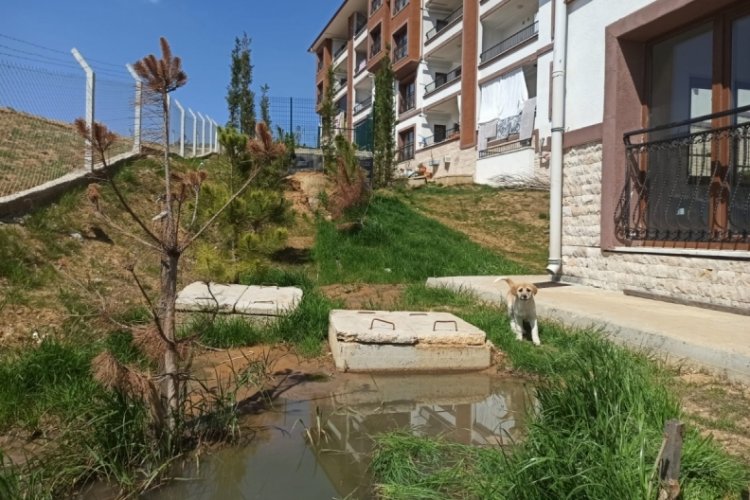 Bursa'da TOKİ konutlarında bu kez de koku krizi &ccedil;ıktı
