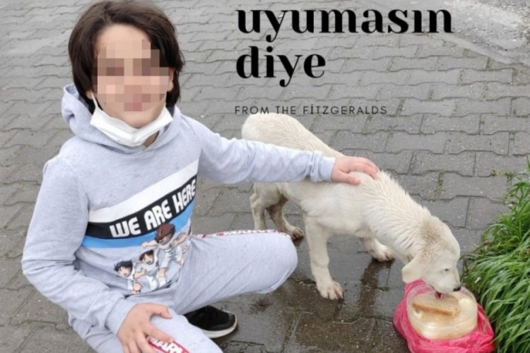 Bursa'da &Ouml;mer Efe, sokak hayvanları projesinde g&ouml;rev almış
