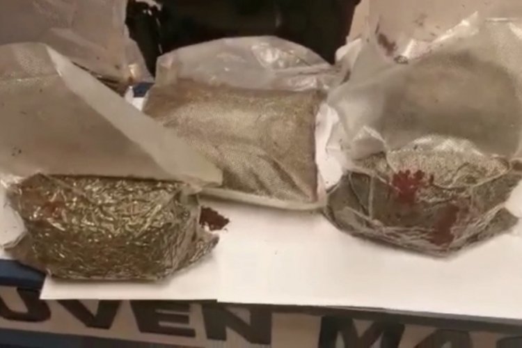 Bek&ccedil;iler yarım milyon değerinde bonzai ele ge&ccedil;irdi