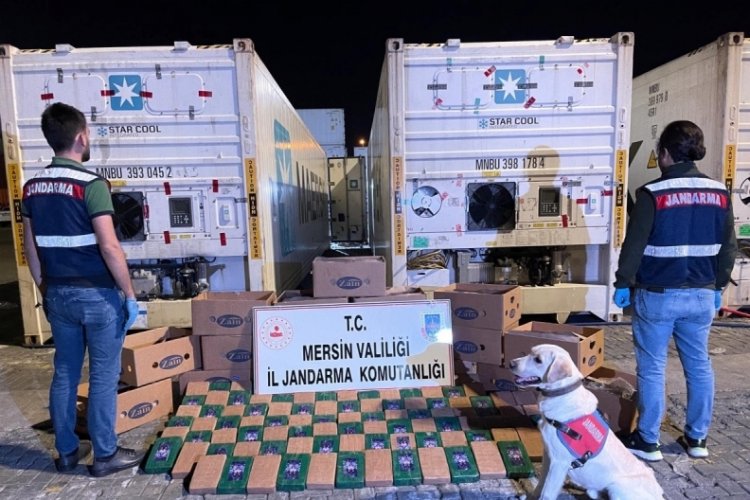 Muz kolileri i&ccedil;erisinde 258 kilo kokain ele ge&ccedil;irildi