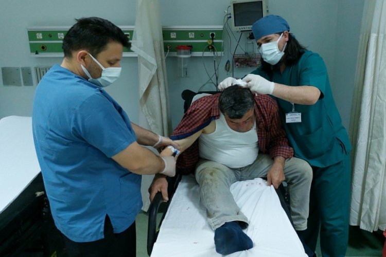 Kestiği armut dalı kafasına d&uuml;şen şahıs hastanelik oldu