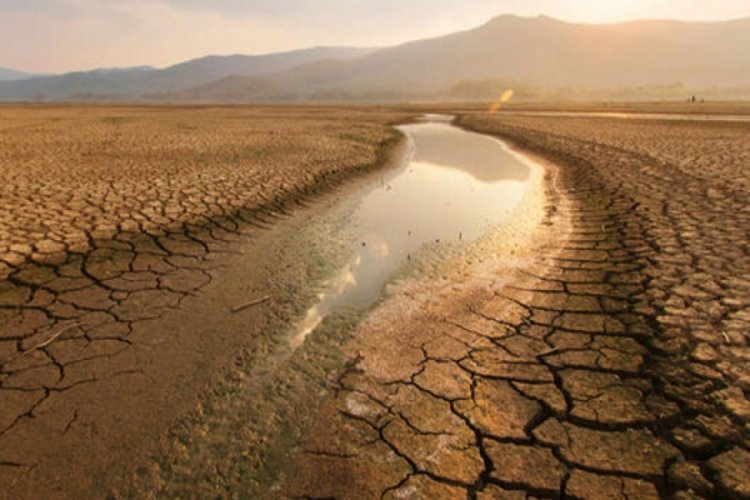 Tarımda T&uuml;rkiye'nin &ouml;n&uuml;n&uuml; a&ccedil;acak &uuml;&ccedil; proje (&Ouml;ZEL HABER)