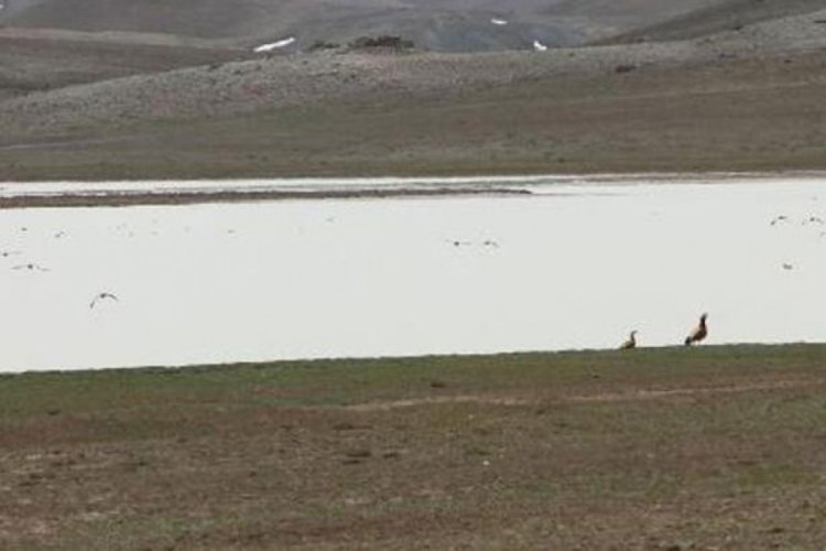 Kuruyan Tuz G&ouml;l&uuml;, yeniden su tutmaya başladı