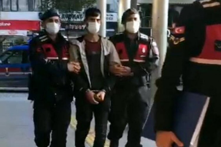 Tarlada &ouml;ld&uuml;r&uuml;lm&uuml;şt&uuml;, cinayet ş&uuml;phelisi aylar sonra yakalandı