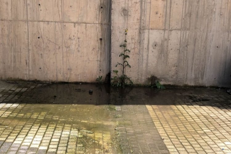 Bursa Mudanya'da sağlık tehdidi