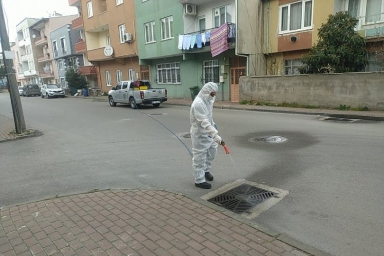 Bursa, haşerelere karşı savaş a&ccedil;tı