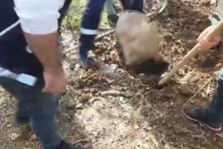 Narkotik operasyonlarda 14 kişiye g&ouml;zaltı