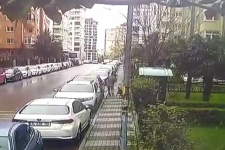 K&ouml;pekler saldırınca otomobilin &uuml;st&uuml;ne &ccedil;ıktı&nbsp;