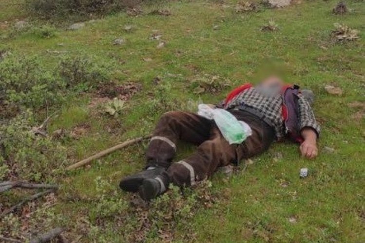 Amca oğlunu t&uuml;fekle &ouml;ld&uuml;rd&uuml;