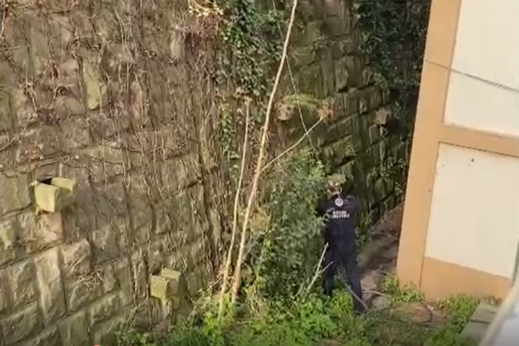 Bursa'da 2 &ccedil;ocuk ağa&ccedil; kundakladı