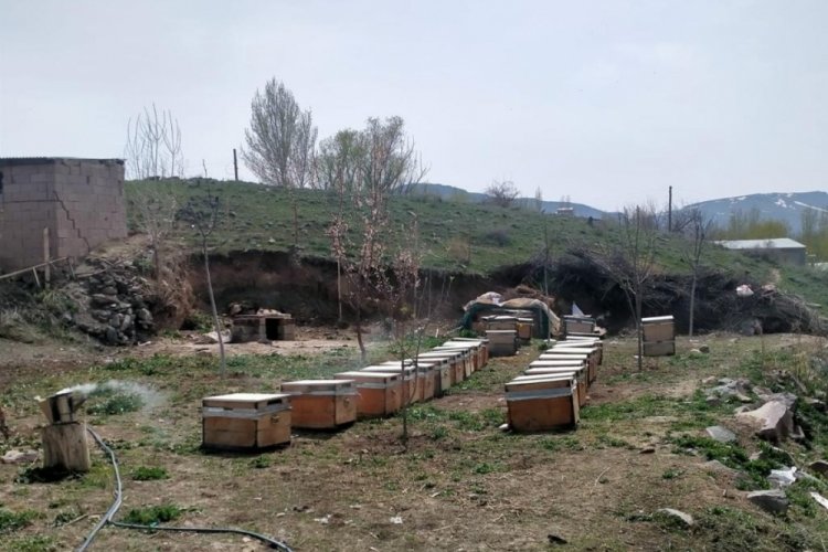 Arı kovanı hırsızı tutuklandı