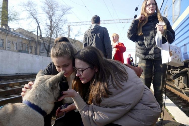 Ukraynalı siviller, Odessa kentinden tahliye edildi