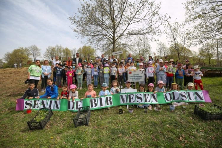 Bursa'da meşe palamudu toprakla can buldu