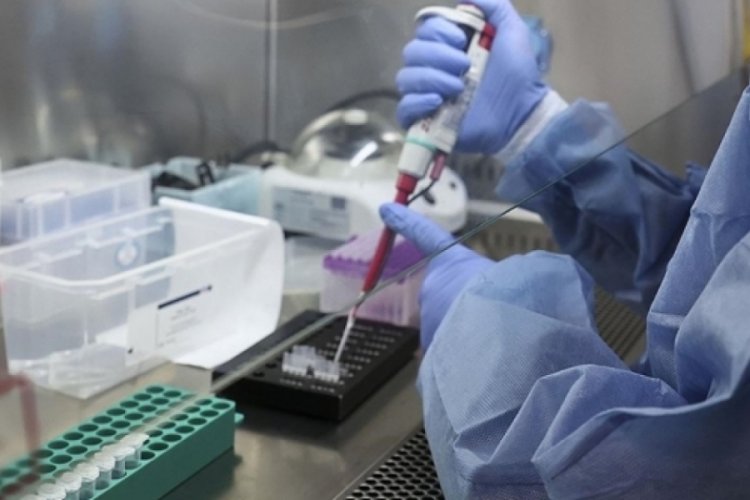 Gizemli Hepatit Kanada'da da g&ouml;r&uuml;ld&uuml;