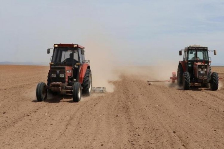 En b&uuml;y&uuml;k ikinci 'tahıl ambarı'nda kuraklık endişesi yaşanıyor