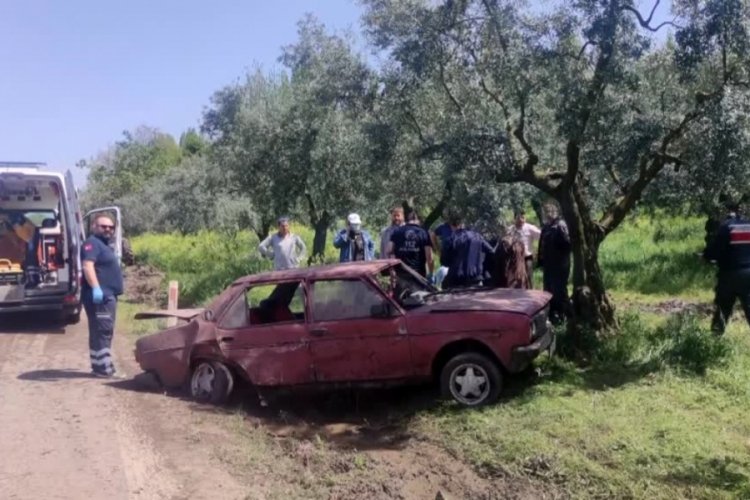 Bursa'da ara&ccedil; zeytinliğe daldı