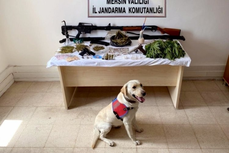 Torbacı operasyonunda 6 kişiye g&ouml;zaltı