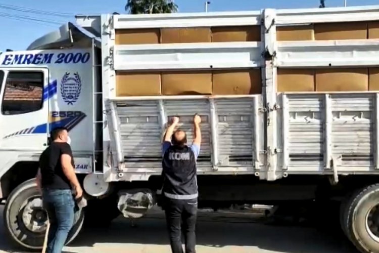 Doldurulmuş 5 milyon makaron ele ge&ccedil;irildi