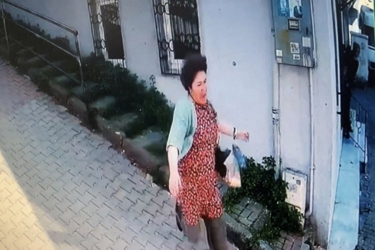 İstanbul'da korku dolu pitbull saldırısı