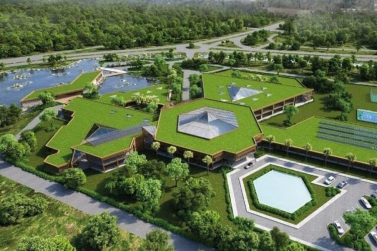 Muğla'da 'zeytincilik okulu' &ouml;nerisi