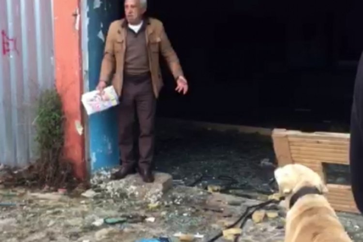 İstanbul'da eski otelin havuzu hayvanlarına tuzak oldu