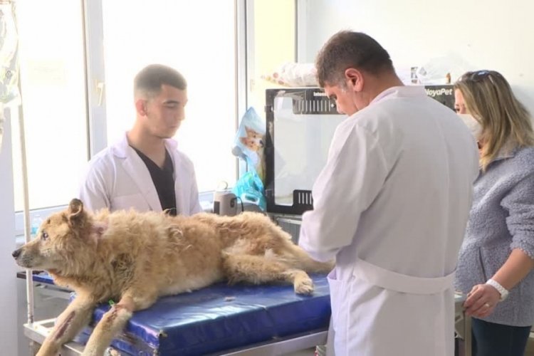 Bursa'da 20 yaşındaki Korkmaz i&ccedil;in seferber oldular