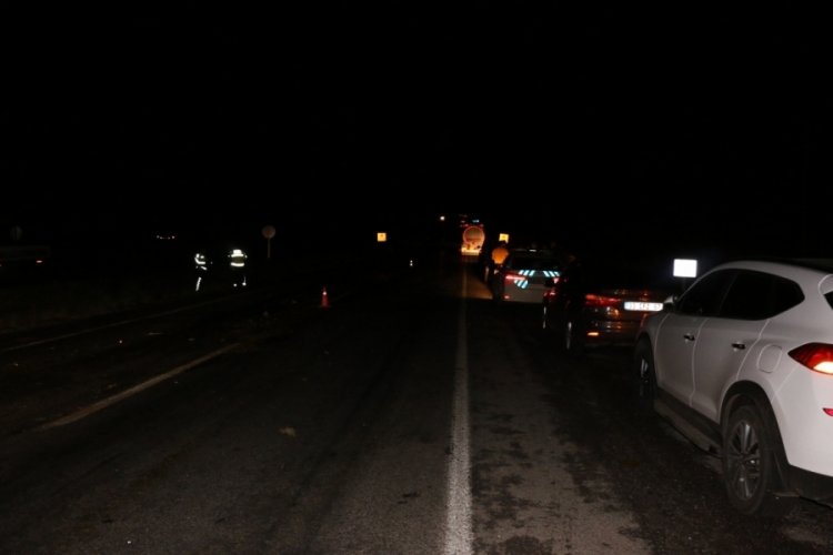 Tanker koyun s&uuml;r&uuml;s&uuml;ne daldı: 22 koyun telef oldu, &ccedil;oban yaralandı