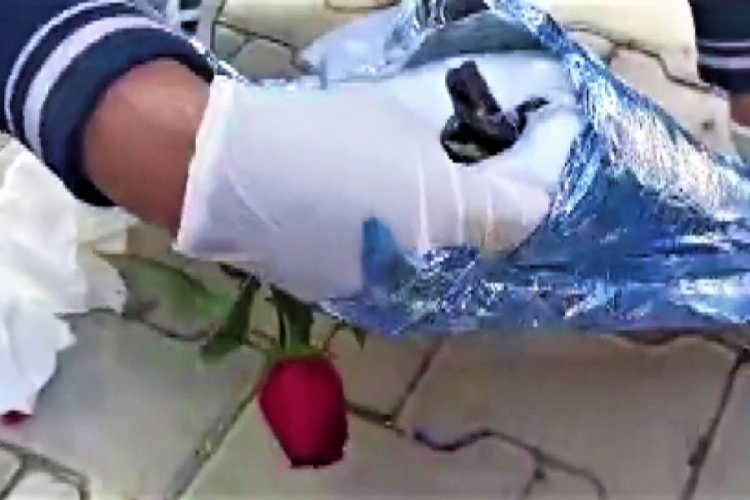 Uyuşturucu madde kırmızı g&uuml;l&uuml;n altından &ccedil;ıktı