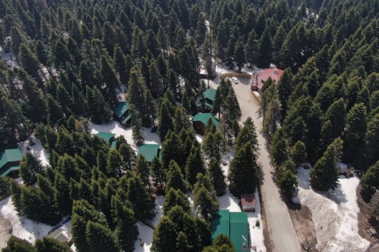 Uludağ'ın orman k&ouml;şkleri bayrama hazır