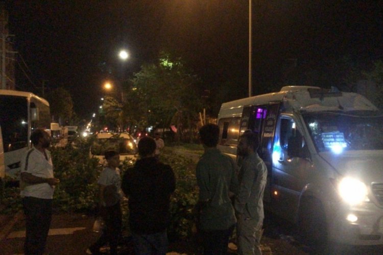 Ağa&ccedil;, seyir halindeki minib&uuml;s&uuml;n &uuml;zerine devrildi: 2 yaralı
