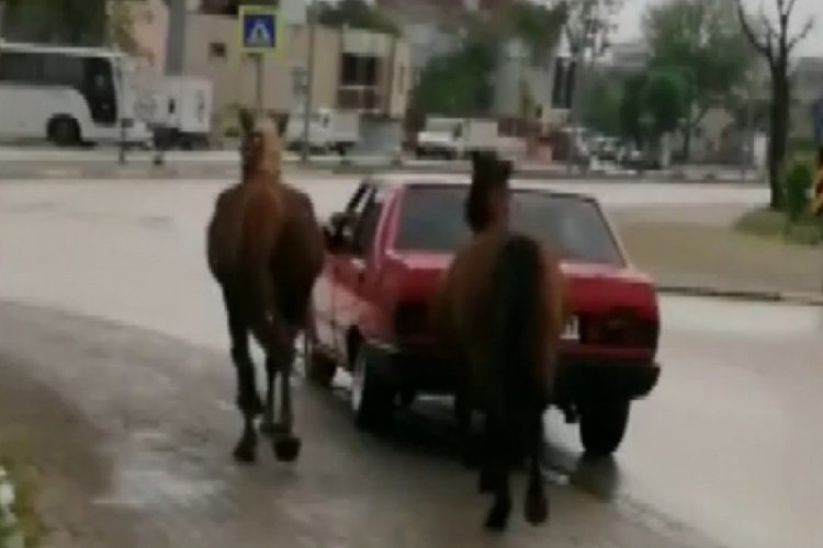 Bursa'da atı arabaya bağlayan s&uuml;r&uuml;c&uuml;ye ceza yağdı
