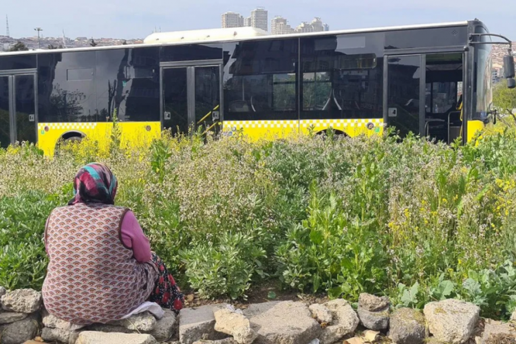 Otob&uuml;s araziye u&ccedil;tu, yaşı kadının ekinleri zarar g&ouml;rd&uuml;