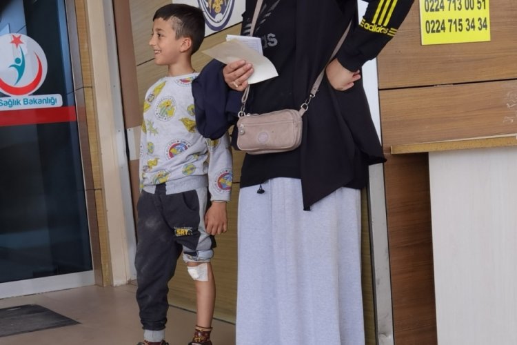 Bursa'da sahipli k&ouml;pek, &ccedil;ocuğa saldırdı