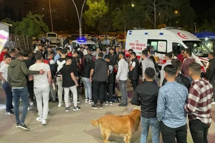 Lunaparkta kan d&ouml;k&uuml;ld&uuml;